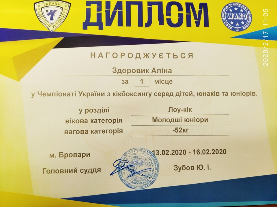 Спортивні досягнення