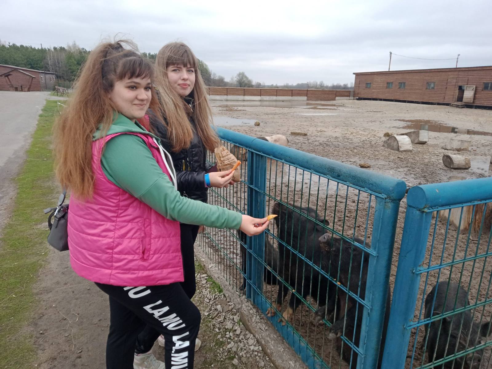 «Ми відповідаємо за тих, кого приручили!»