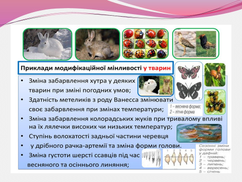 Конкурс методичних розробок