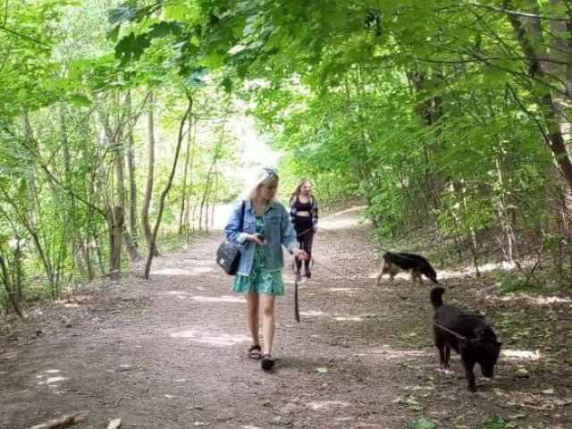 Благодійна акція «Серце з лапкою»