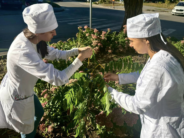 День довкілля в коледжі