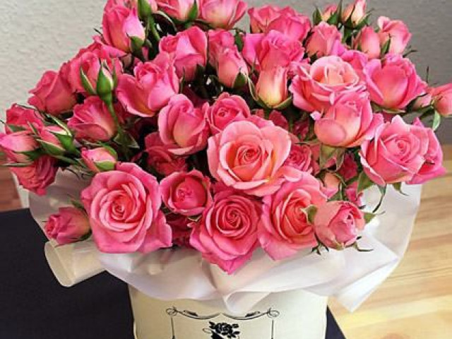 Викладацький колектив Фахового медико-фармацевтичного коледжу ПДМУ щиро вітає директора коледжу  Наталію Куценко з нагородою...