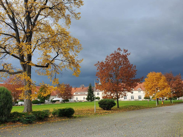Міжнародна співпраця як один із аспектів реалізації освітньо-професійних програм фахового медико-фармацевтичного коледжу
