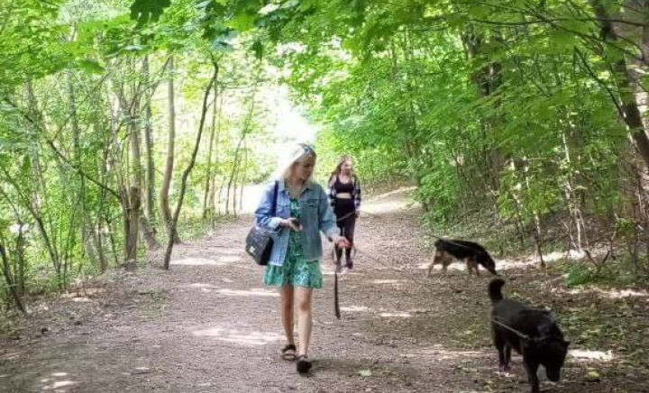 Благодійна акція «Серце з лапкою»