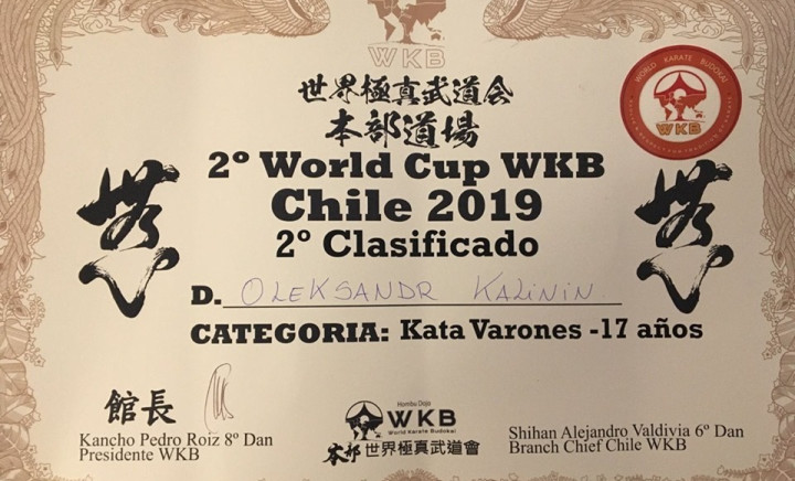 Відкритий кубок світу з кіокушинкай карате