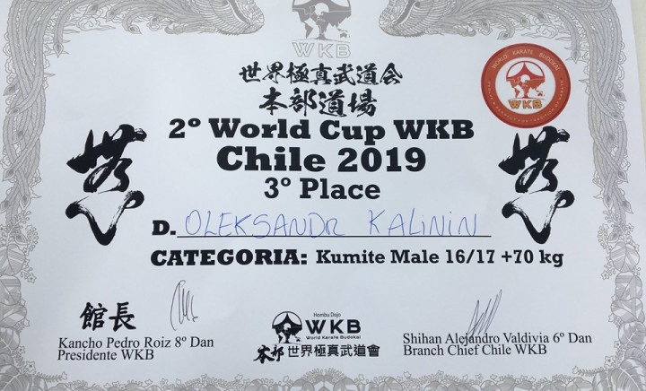 Відкритий кубок світу з кіокушинкай карате