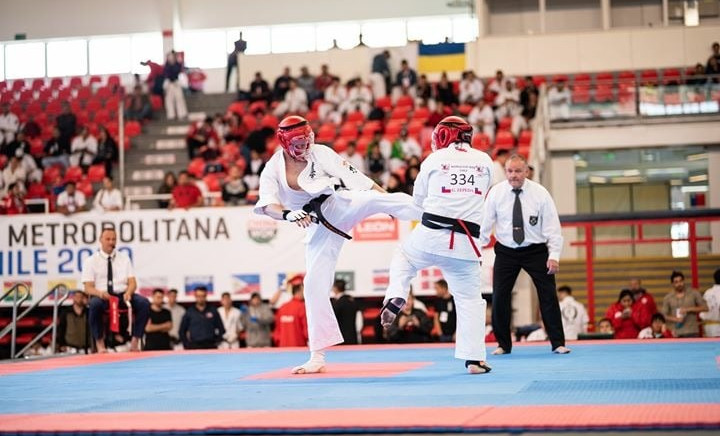 Відкритий кубок світу з кіокушинкай карате