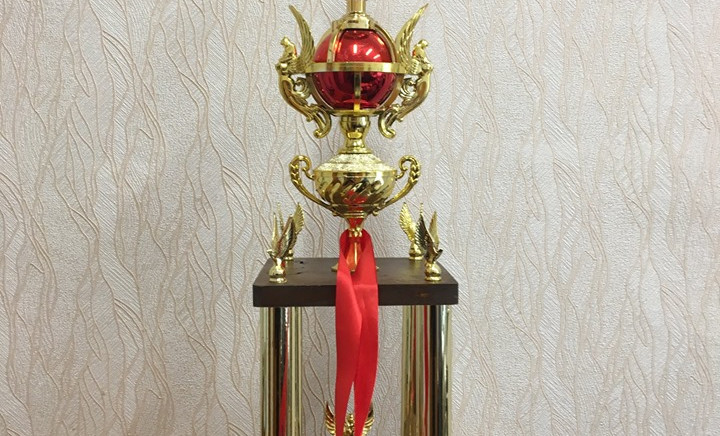 Відкритий кубок світу з кіокушинкай карате