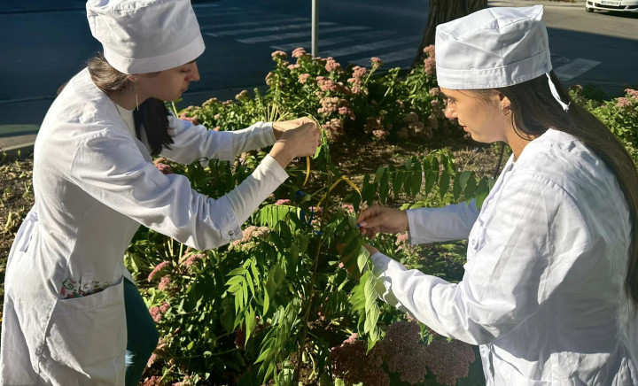 День довкілля в коледжі