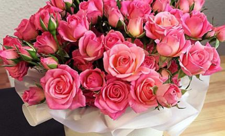 Викладацький колектив Фахового медико-фармацевтичного коледжу ПДМУ щиро вітає директора коледжу  Наталію Куценко з нагородою...