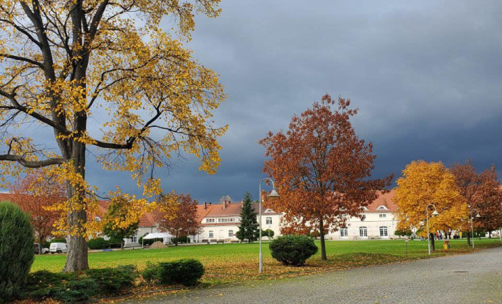 Міжнародна співпраця як один із аспектів реалізації освітньо-професійних програм фахового медико-фармацевтичного коледжу