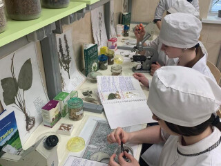 Фармацевтичне відділення